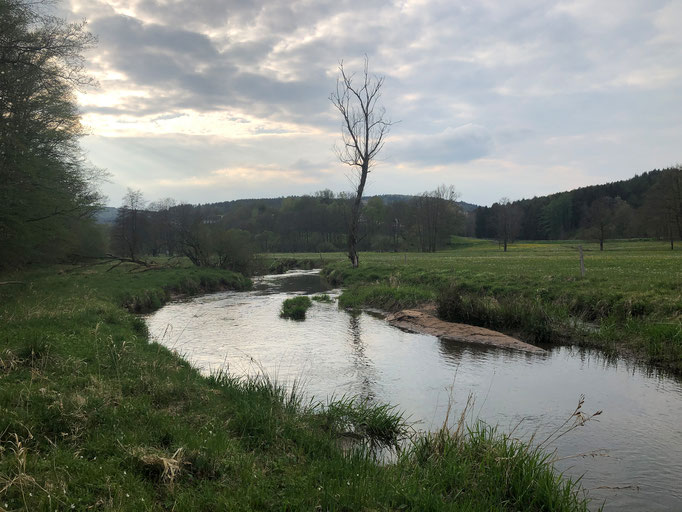 Flyfishing in Germany