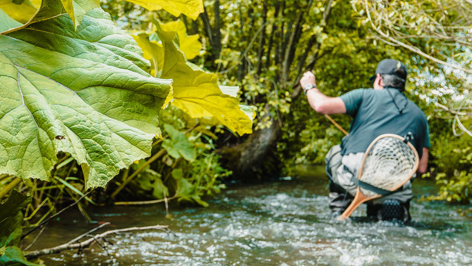 Fliegenfischen lernen / Fliegenfischen in Deutschland