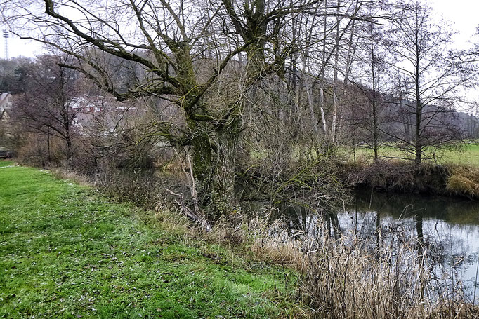 Fliegenfischen gezielt auf Hecht mit der Fliegenfischerschule-Hessen