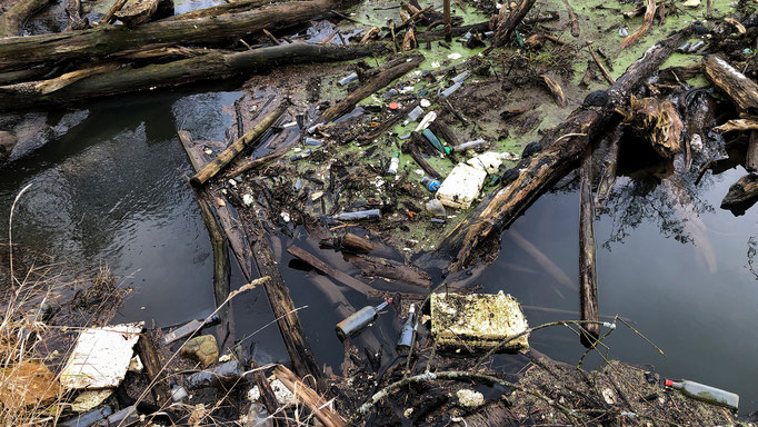 Müll am Fluss / Fliegenfischerschule-Hessen