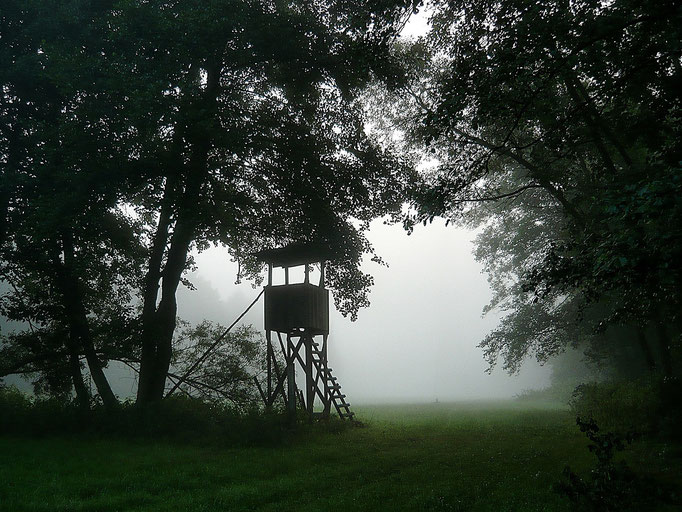 Fliegenfischerschule-Hessen // Fliegenfischen // Wurfkurse // Bindekurse // Guiding