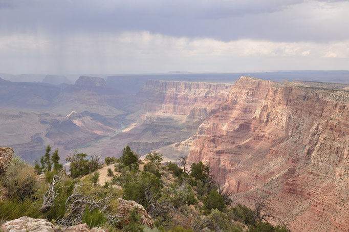 Grand Canyon National Park - Panorama