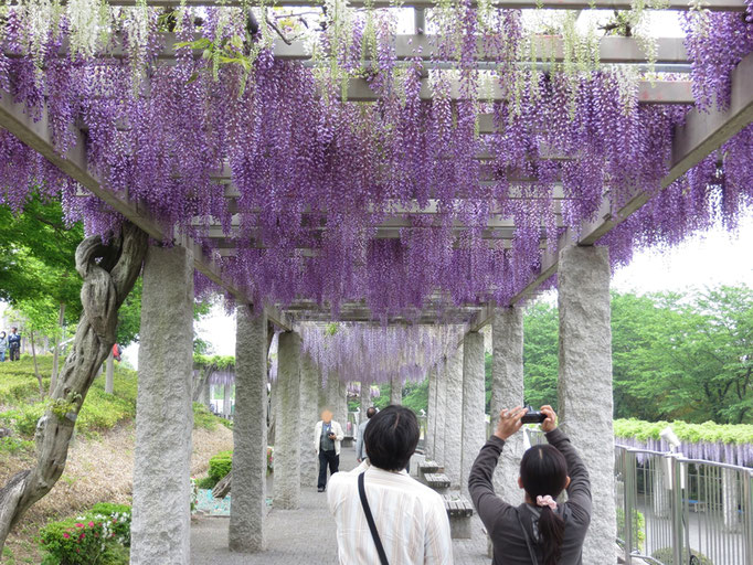 訪れた日は平日でしたが、多くの観光客で賑わっていました。