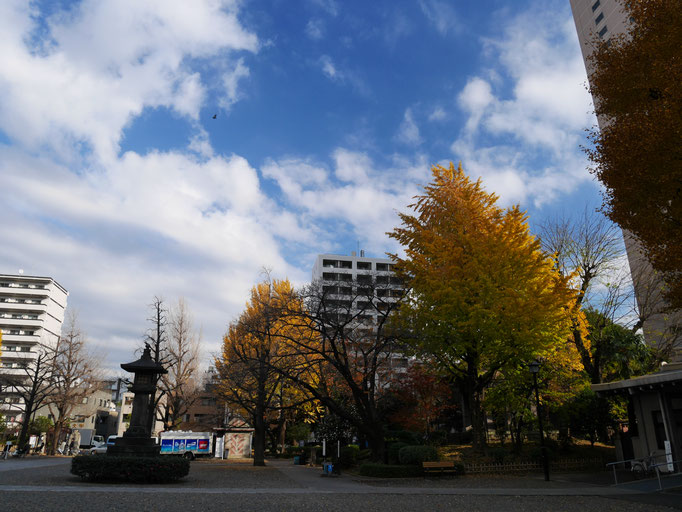 横網町公園の紅葉。