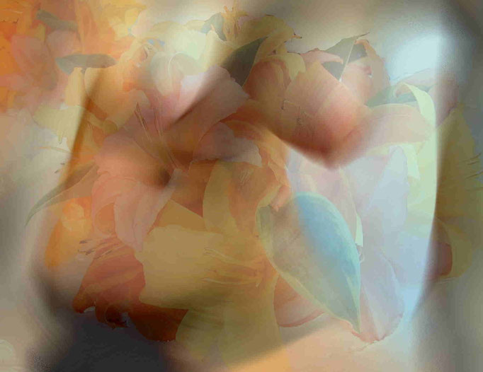 Veil of Summer Blooms