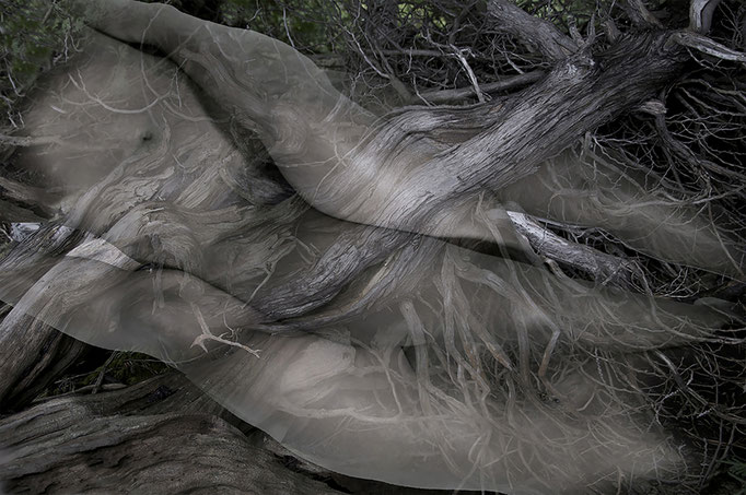 Roots and Nudes