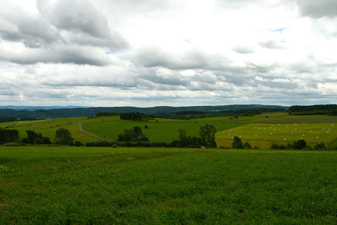 Foto: H.-P. Meßler