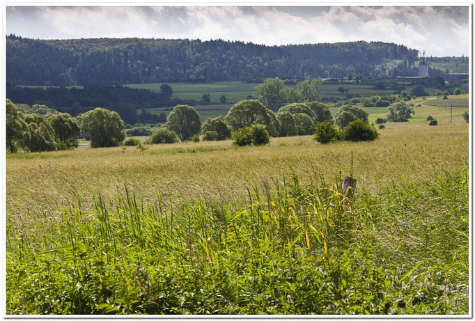 Foto: W. Keßler