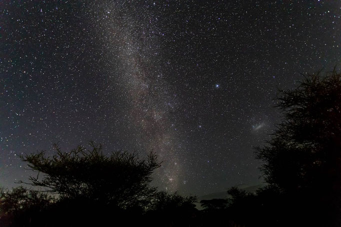 Sternenhimmel im Amboseli National Park - Klaus Liebel