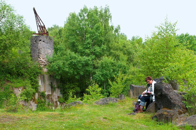 Mayener Grubenfeld                                                                Foto: U.Kirchhoff