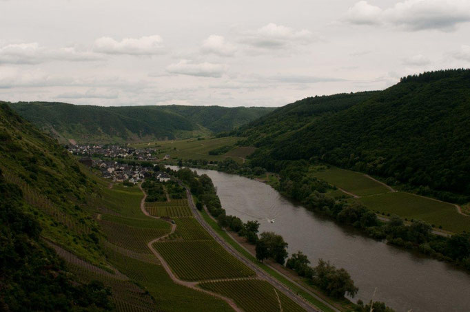 Blick über das Moseltal                                                          Foto: N.Kilimann