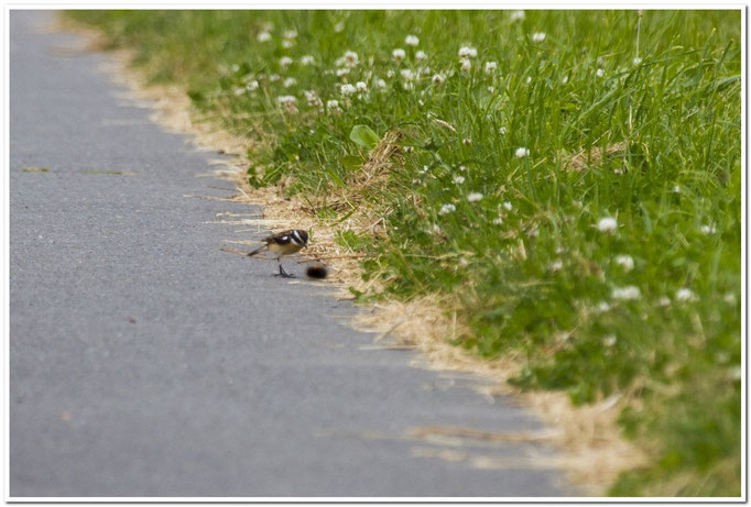 Foto: W. Keßler
