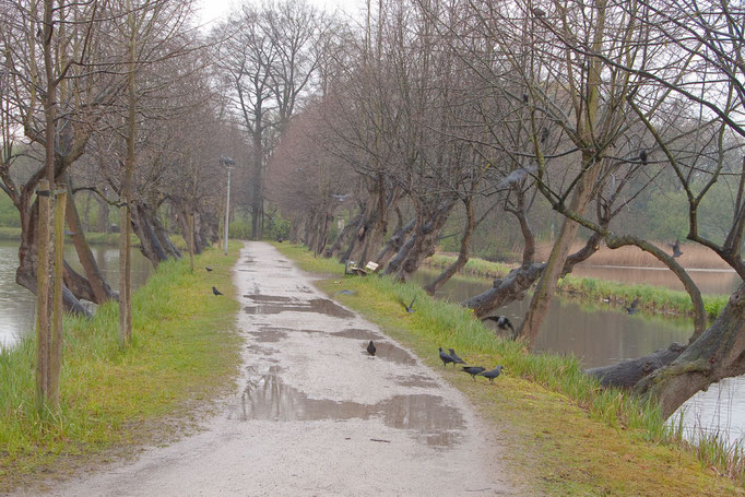 Foto: H.-Peter Meßler