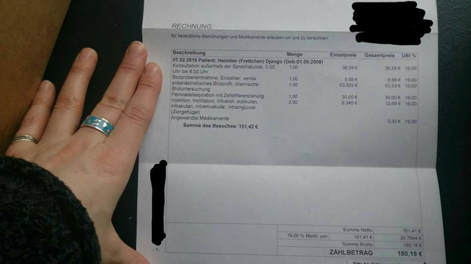 Laufende kosten singlehaushalt