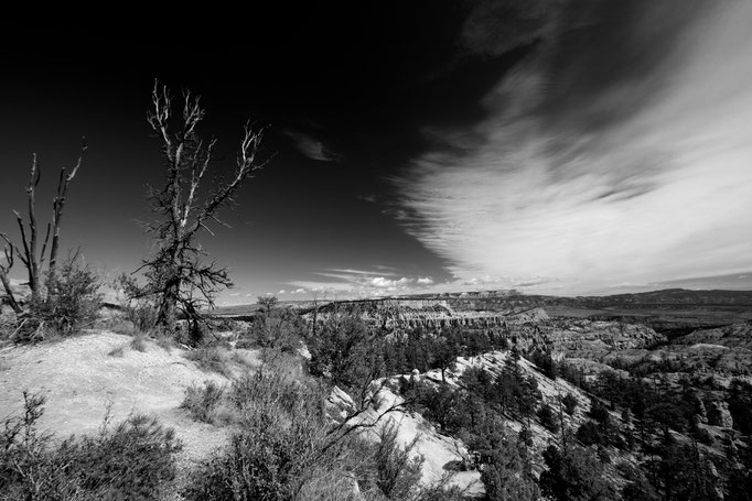 Bryce Canyon