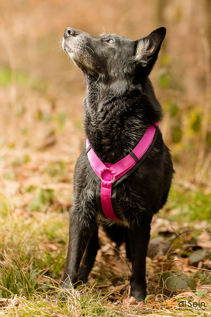 f2.8, 1/200, ISO160, 100mm, 15:25h, im Wald mit Aufhellblitz