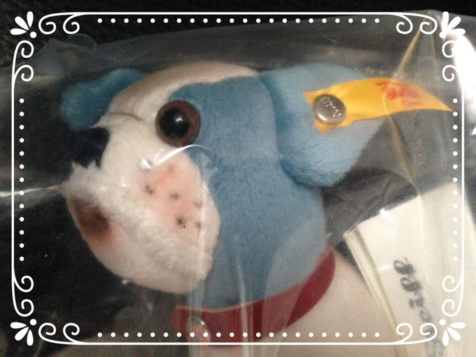 Französische Kuscheldogge