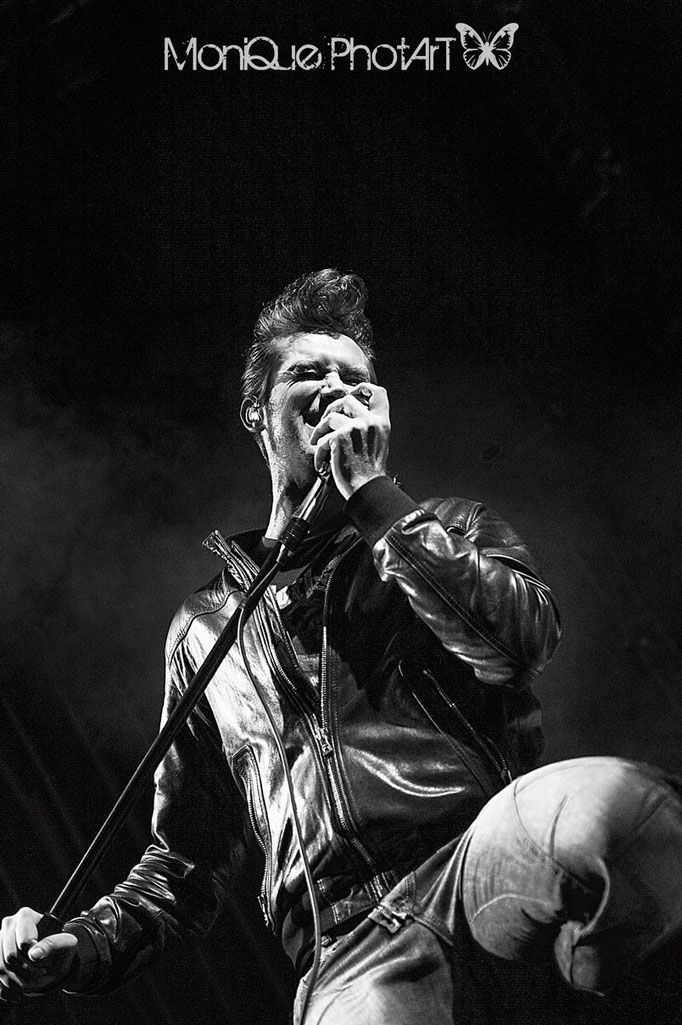 The Baseballs - all rights: moniquephotart