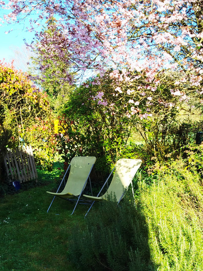 Le jardin du gîte, un espace privilégié pour se ressourcer et profiter du calme.