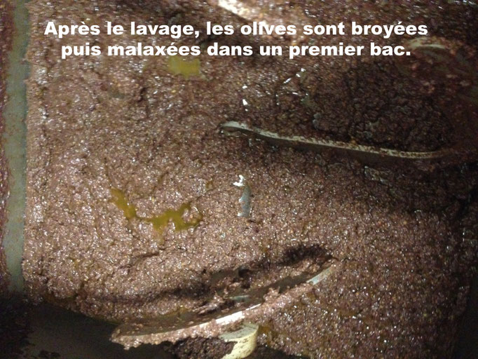 Le malaxage de la pâte d'olive après broyage
