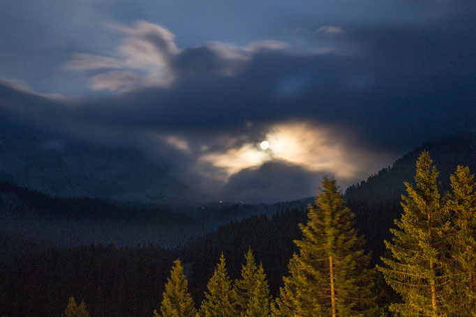 La Luna sul bosco