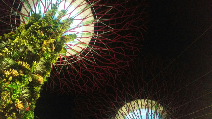 Garden by the Bay - Singapur