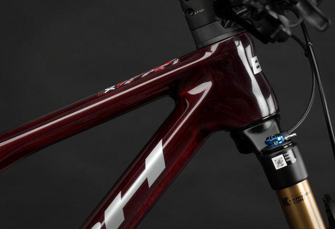 Angepasste Geometrie des BH Lynx Race