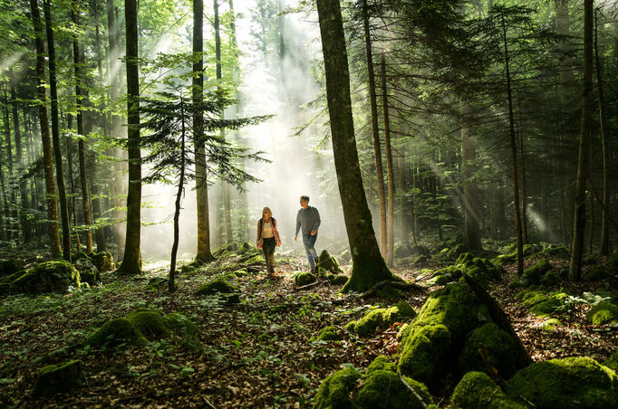 Für Outdoor-Liebhaber bieten sich zahlreiche Wälder für eine naturnahe Wanderung an ©www.slovenia.info, Ciril Jazbec