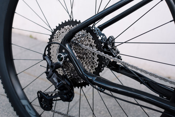 Optisch fällt das BH Expert unter anderem durch seine Kettenstreben auf, die vor den Ausfallenden eine ausgeprägte Kurve aufweisen