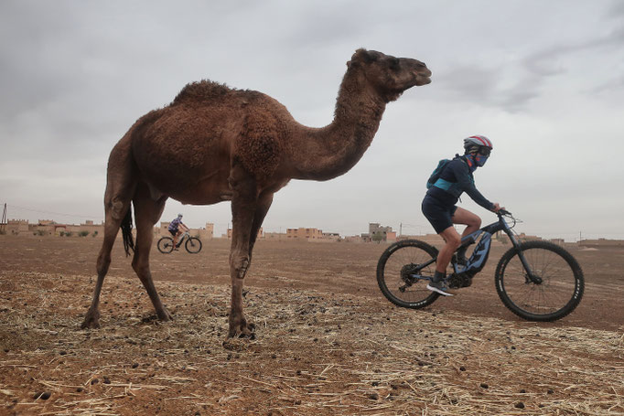Zusammenarbeit von THOK E-Bikes mit Nico Valsesia und “From 0 to Atlas”: Mit dem E-mtb und einem außergewöhnlichen Guide Marokko entdecken ©