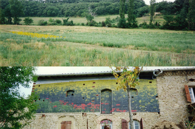 Vue latérale de l'installation (découpe dans la friche sur 200m et plantation de tournesol). Vue de la fresque photographique sur bâti (impressions laser marouflées sur façade en brique, porte et volets, 250x1200cm).