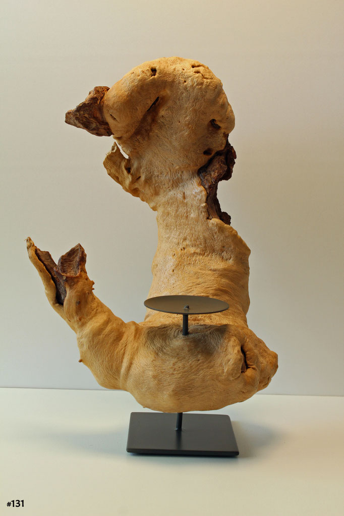 Buche aus dem Übergang vom Stamm zur Wurzel.