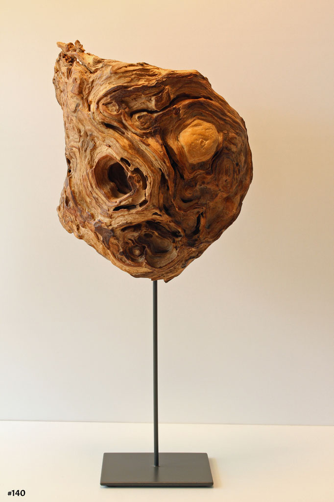 Buchenmaske, geformt von Mutter Natur. 
