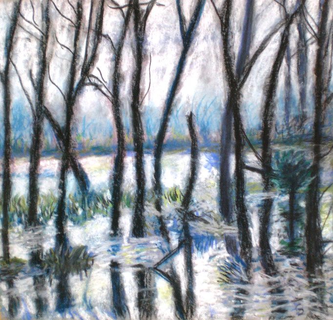 Johanna Schott // Bäume im Wasser // Pastell auf Pappe // 25,3 x 26,3 cm // 2013
