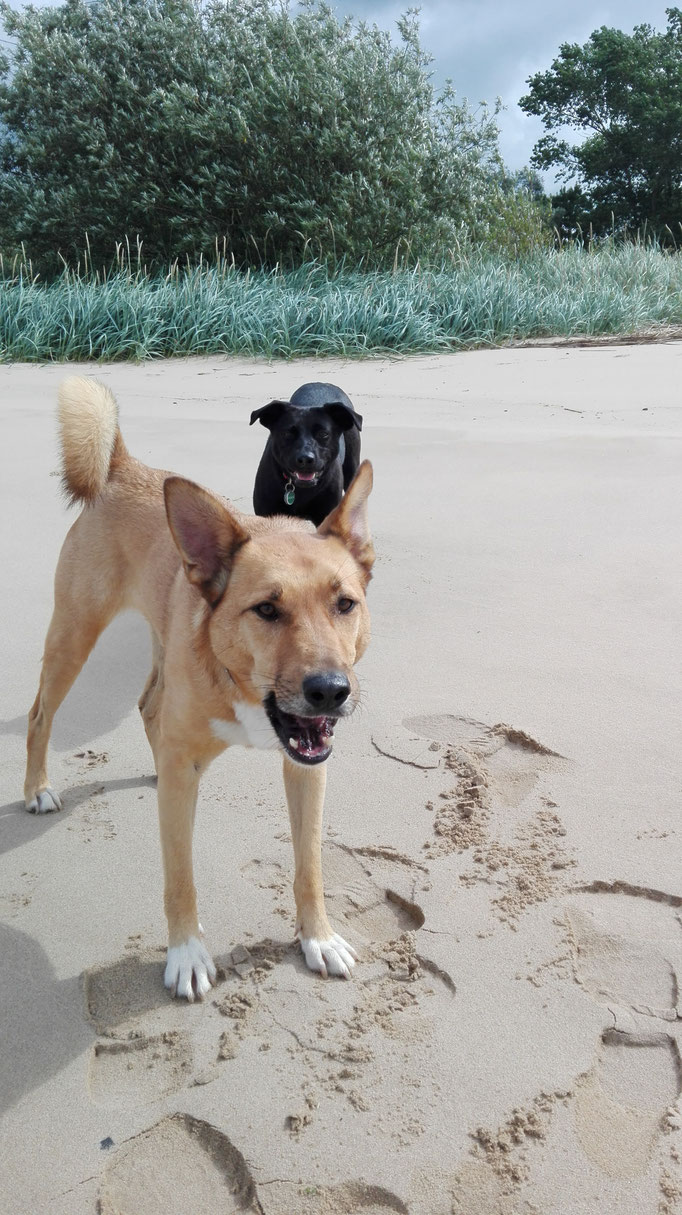 Wir sind alle ganz lieb.