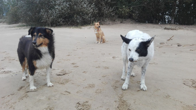 Trio.
