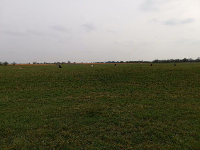 Landschaft.