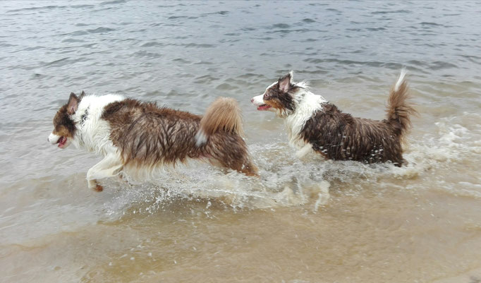 Shepherd Water Connection.