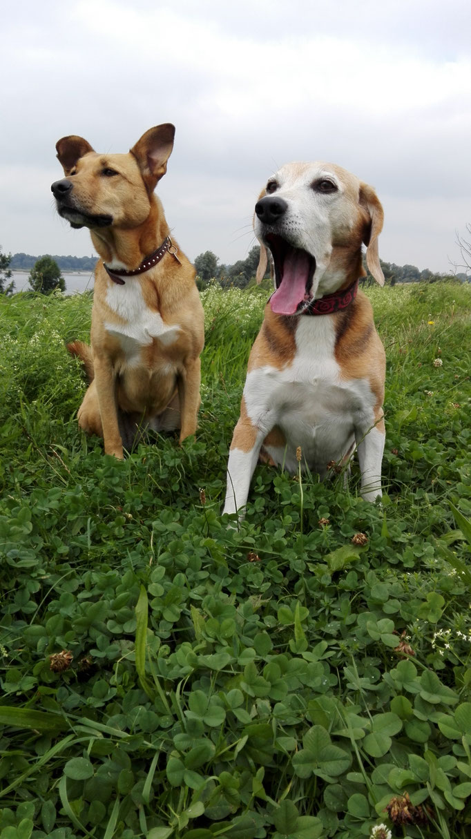 GroßmaulLukas.
