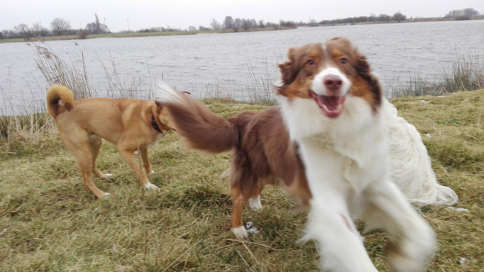 Fotobombe.