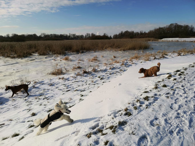 Schnee, Getobe.