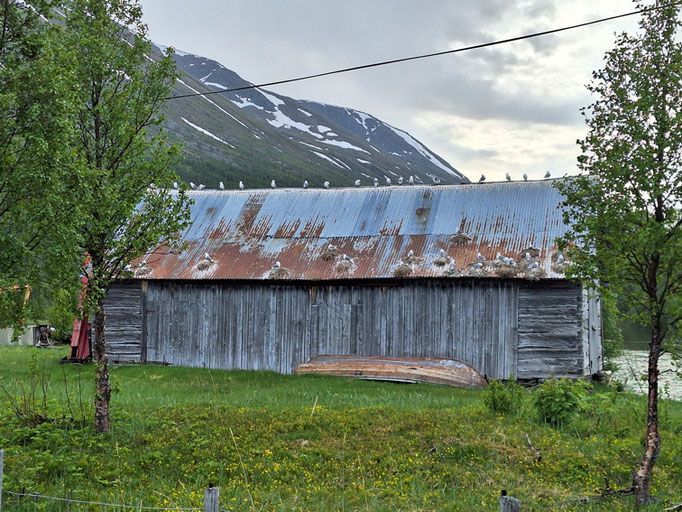 Mövenhaus...