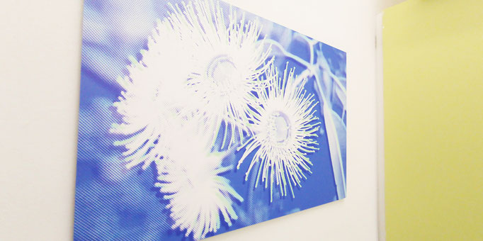 Schwangerenberatung Uniklinik Würzburg, Eukalyptus Motive und kräftige Farben im Wartebereich, Kunst für Kliniken.
