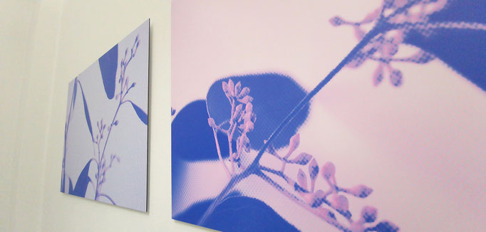 Detailansicht Eukalyptus Motiv, Kunst für Kliniken als positives, pflanzenbasiertes Gestaltungskonzept.