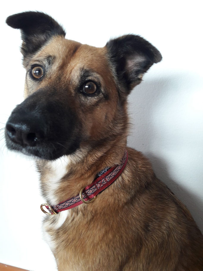 Lucy