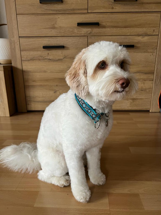 Bailey