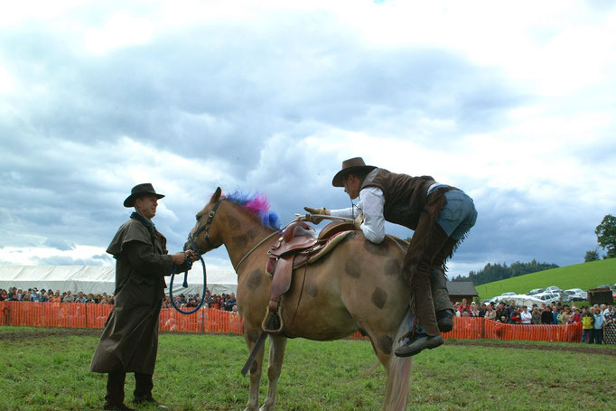 Pferdefest der Region - Pabneukirchen