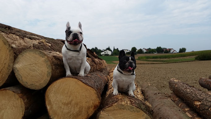 Lilly und Lola