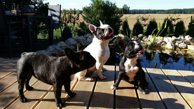 Lilly und ihre Töchter Betty und Franzi