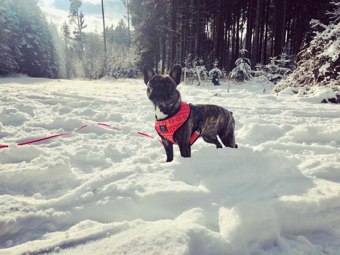 De Nera im Winter Wonderland